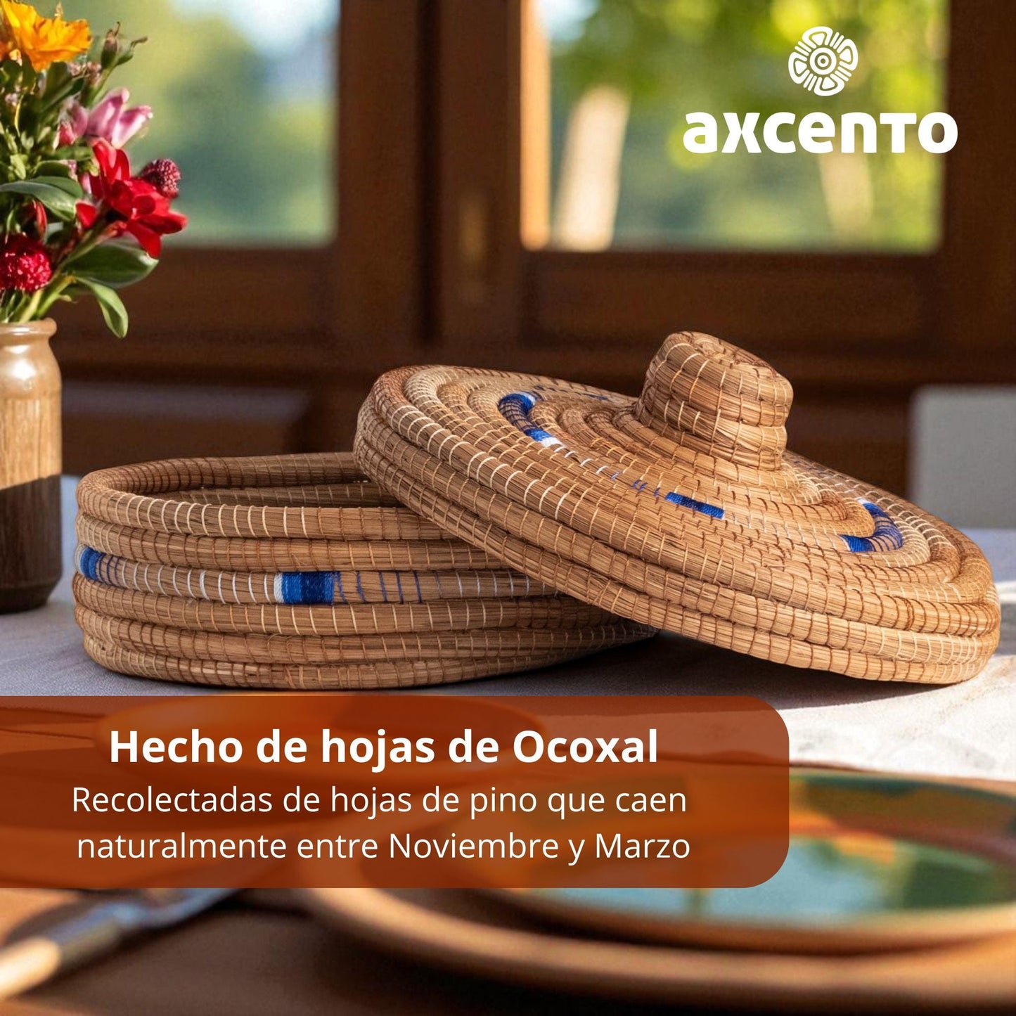 Tortillero de fibra de pino Ocoxal con toalla de cocina - Axcento - Mexican Designs
